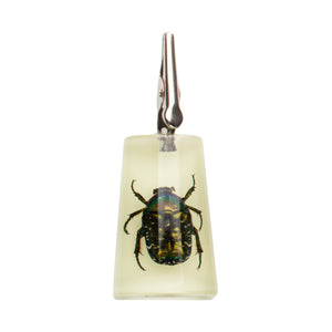 Roach Clip Glow-in-the-Dark Chafer Stand-Up 
