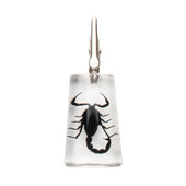 Roach Clip Black Scorpion Stand-Up