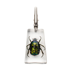 Roach Clip Chafer Stand-Up